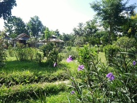 Pai Park Cottage