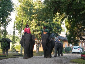 Pai River Mountain Resort