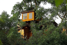 Pai Treehouse Resort
