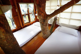 Pai Treehouse Resort