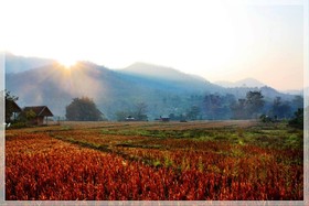 Pai vieng Fah Resort