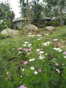 Pai Vimaan Resort