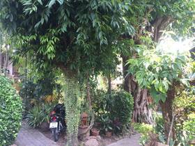 Pravee House