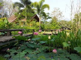 PuraVida Pai Resort