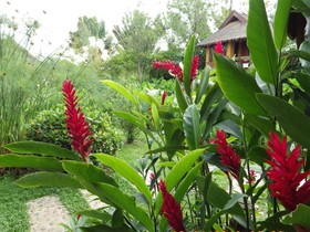 PuraVida Pai Resort