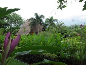 PuraVida Pai Resort