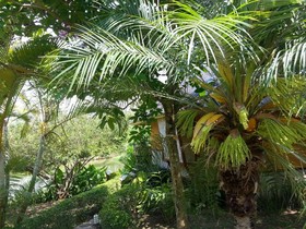 PuraVida Pai Resort