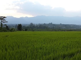 PuraVida Pai Resort