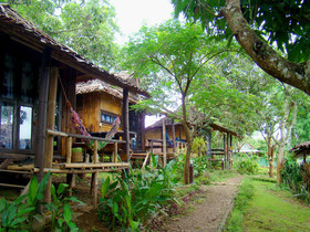 Re - Wild House
