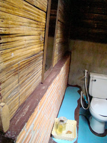 Re - Wild House