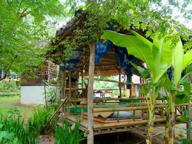 Re - Wild House