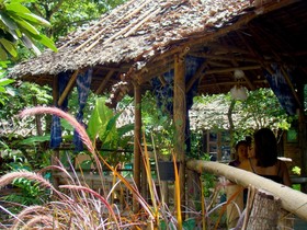 Re - Wild House