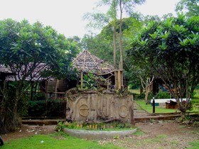 Re - Wild House