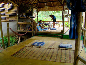 Re - Wild House
