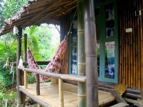 Re - Wild House