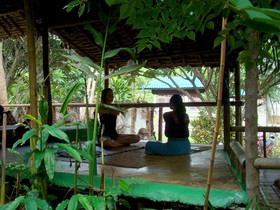 Re - Wild House