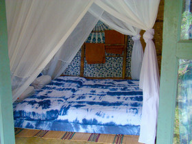 Re - Wild House