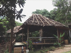 Re - Wild House