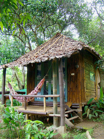 Re - Wild House