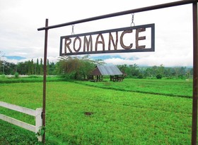 Romance Pai