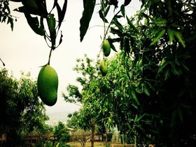 Romantic Time Mountain Resort