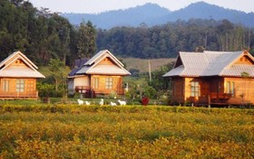 Tarnjedton Pai Resort