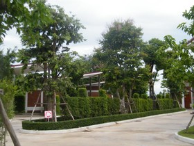 Sp Resort And Garden