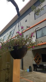 A Mote Loft At Phitsanulok