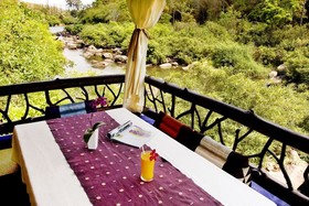 Rain Forest Resort