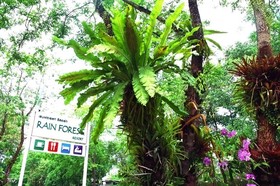 Rain Forest Resort
