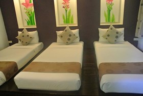 Rain Forest Resort