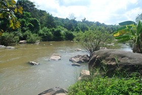 Rain Forest Resort