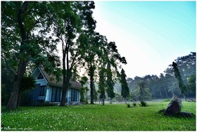 Sappraiwan Elephant Resort & Sanctuary