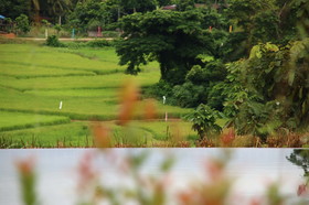 Nan Boutique Resort