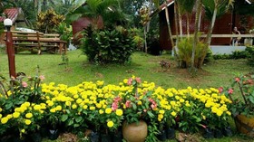 Thai Loei 300 Pee Resort