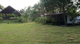 Thai Loei 300 Pee Resort