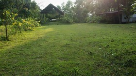 Thai Loei 300 Pee Resort