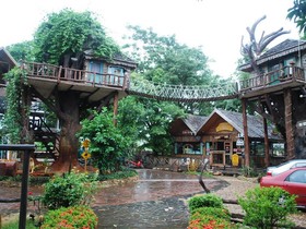 The Log Of Paradis