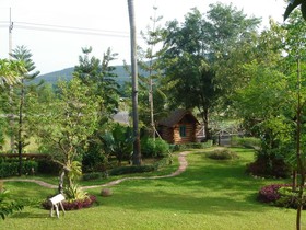 The Log Of Paradis