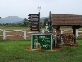 The Log Of Paradis