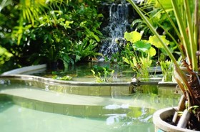 Enchanted Garden Bangalows