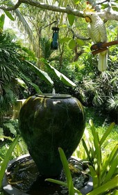 Enchanted Garden Bangalows