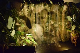 Enchanted Garden Bangalows