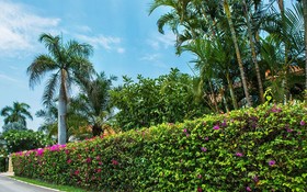 LPC Holiday Villa