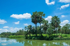 LPC Holiday Villa
