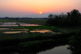 Rosario Oasis Resort - Sha Plus