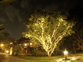 Dreamcatchers BandB