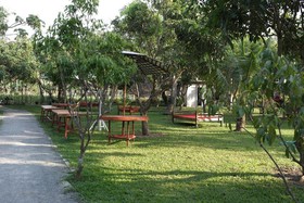 Racha Herb Gardens