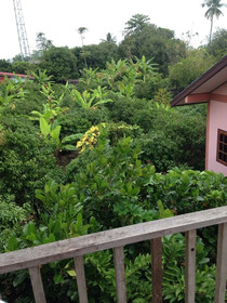 Baan Somlim Homestay