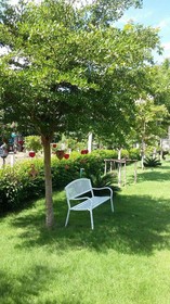 Ban SP Resort